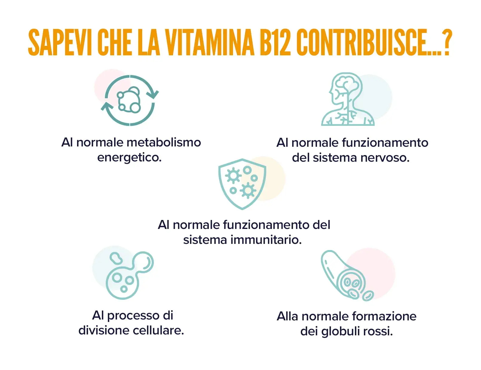 Fplus 2 Metilcobalamina