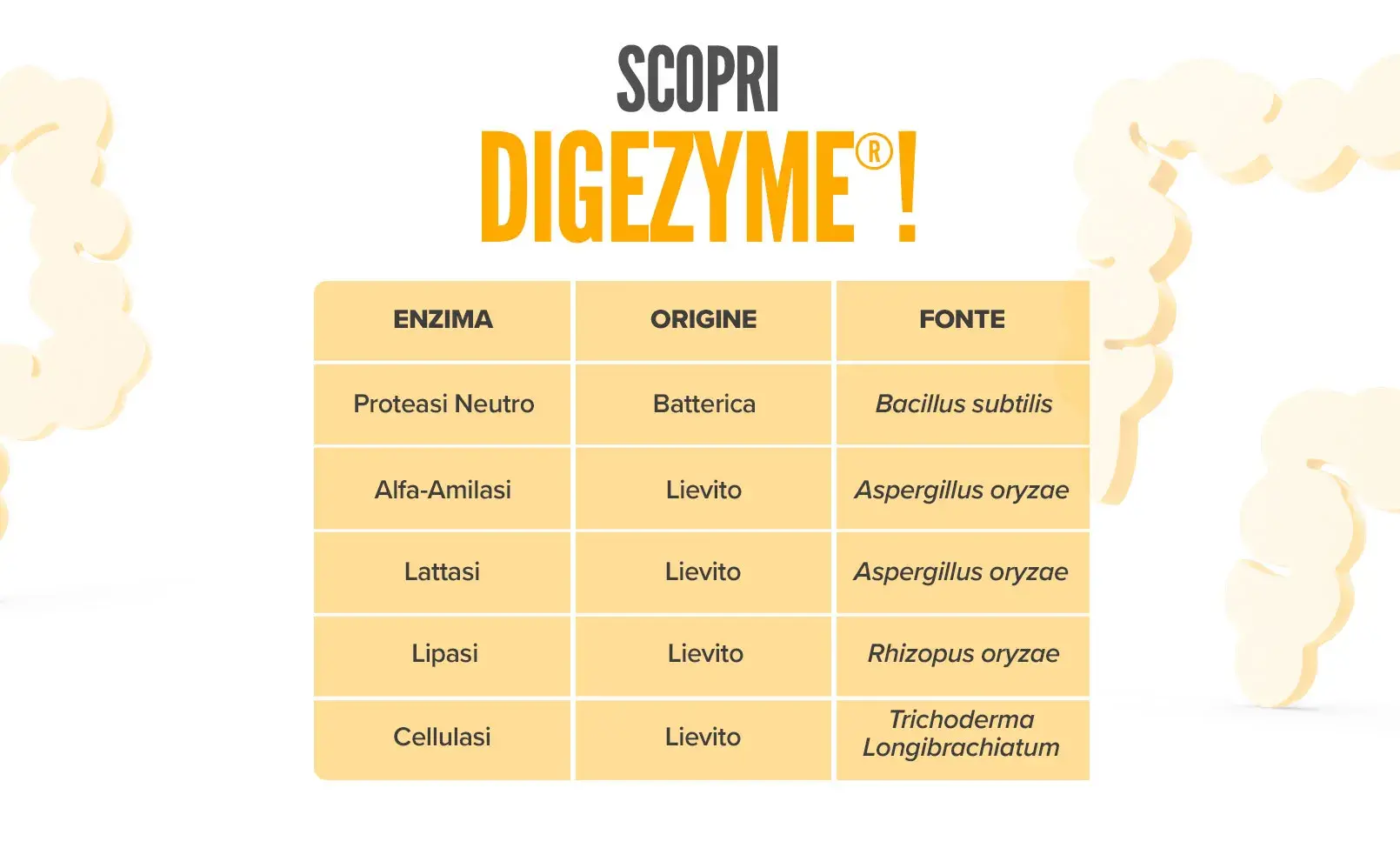 Fplus DigeZyme