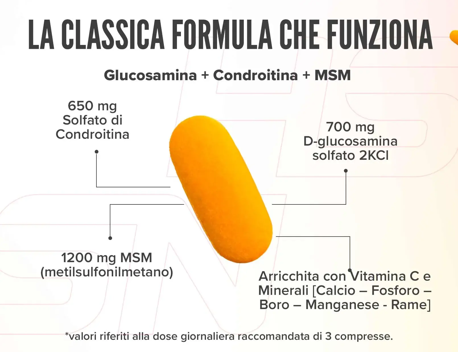 Fplus 3 Evoflex