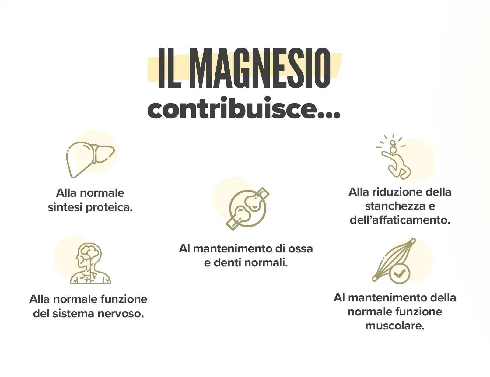 Citrato di Magnesio Fplus 3