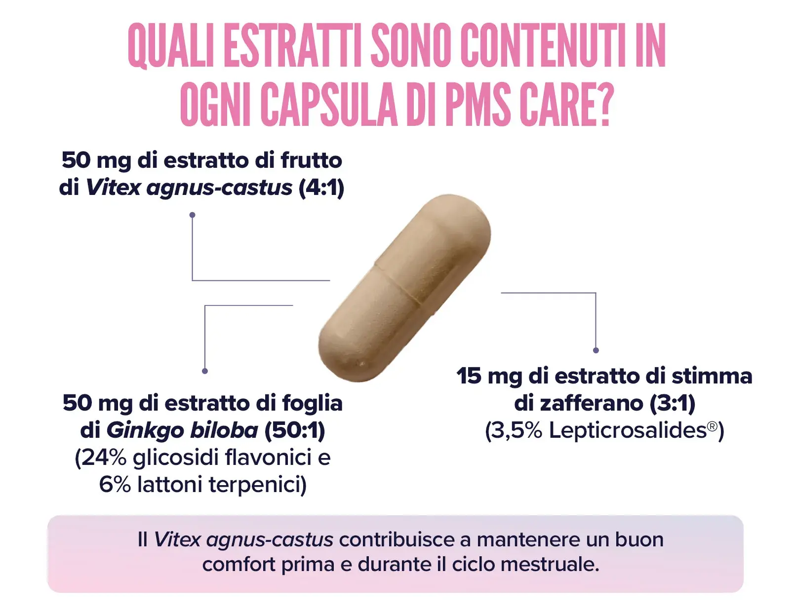 Fplus 3 PMS Care