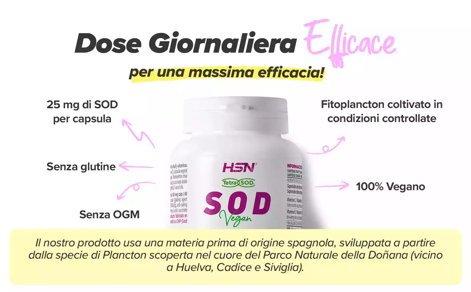 Fplus 3 SOD