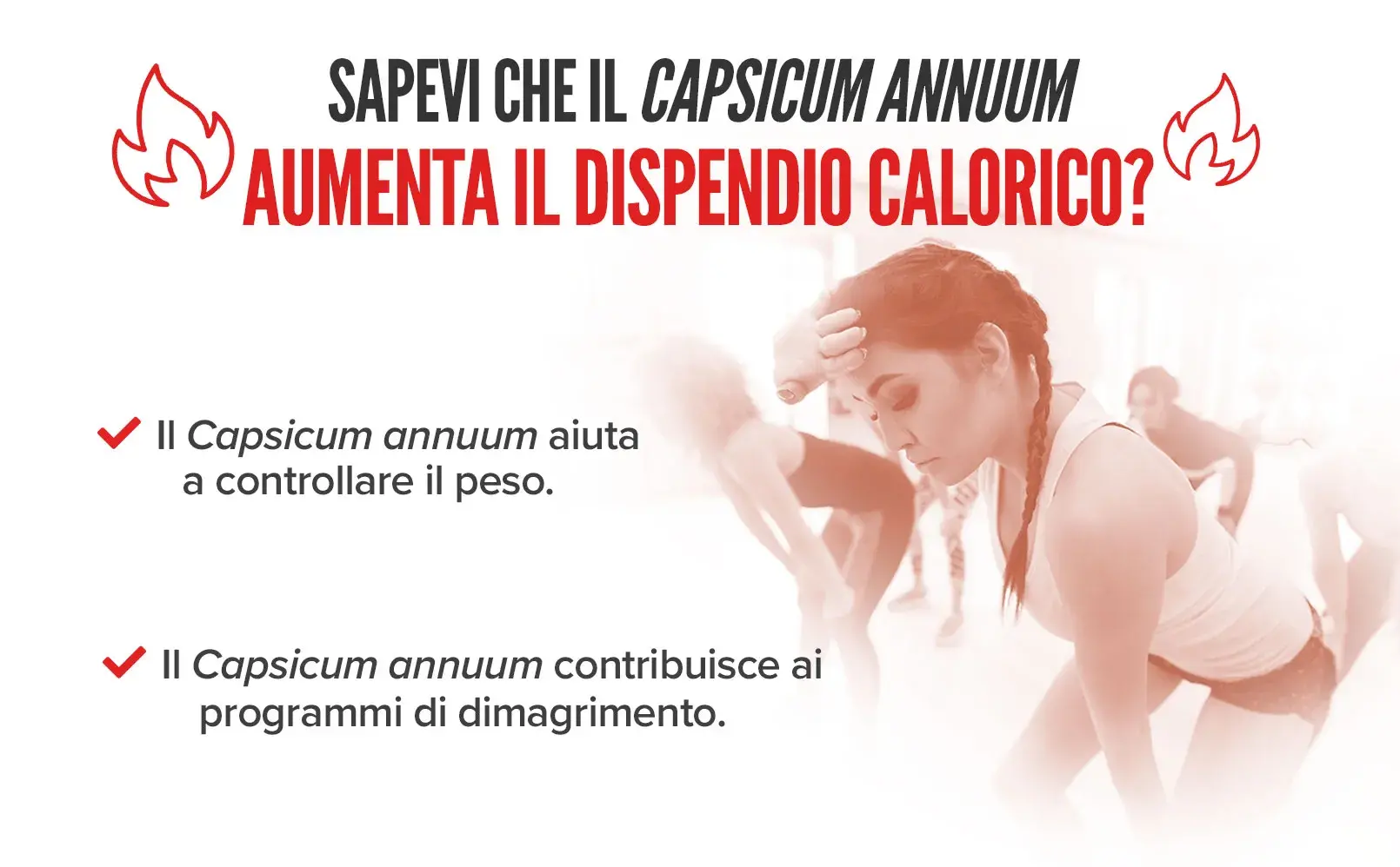 Fplus 3 Ultra Cayena