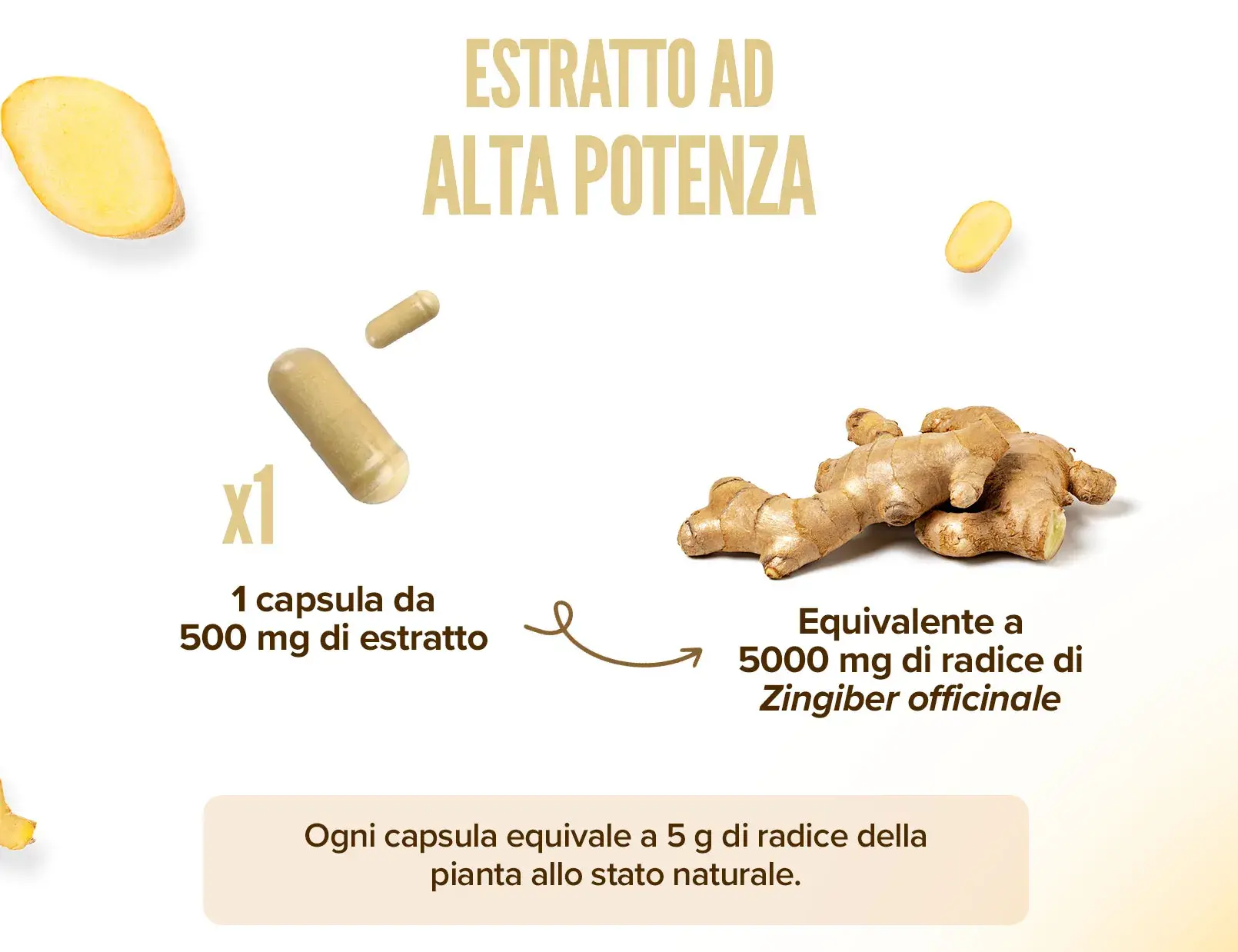 Fplus 3 Estratto di zenzero