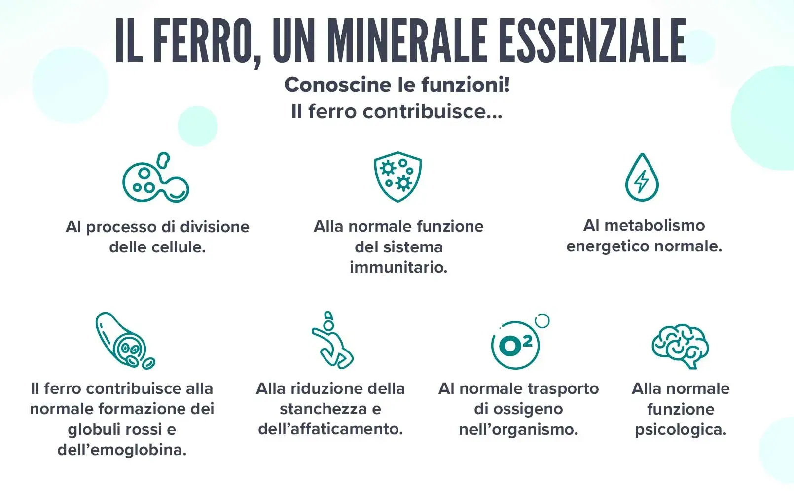 Fplus 4 Bisglicinato di Ferro