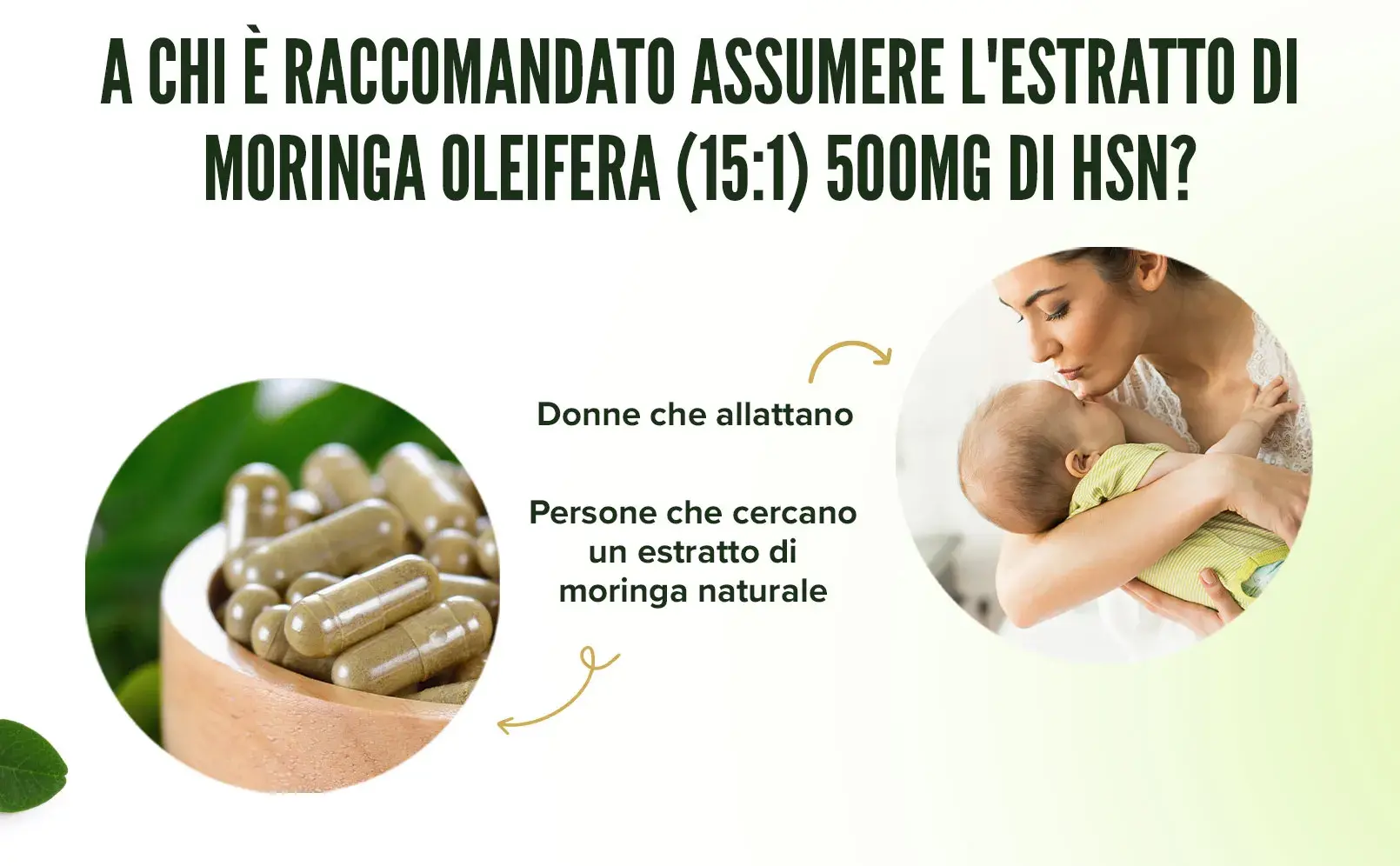 Fplus 4 moringa extract