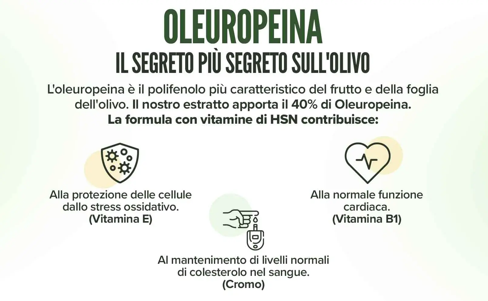 Fplus 4 Estratto di Foglia di Olivo