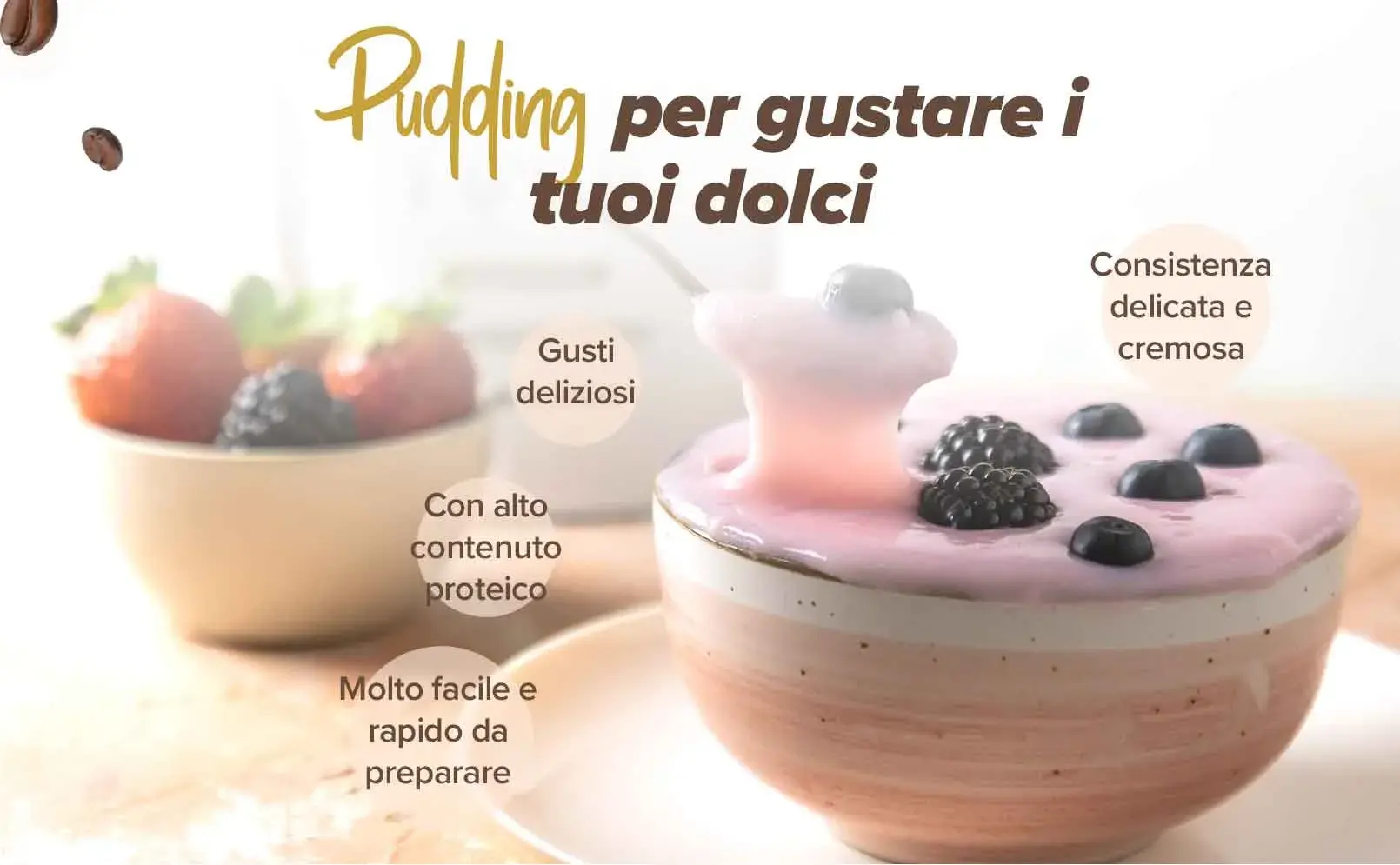 Fplus 4 Pudding Proteico