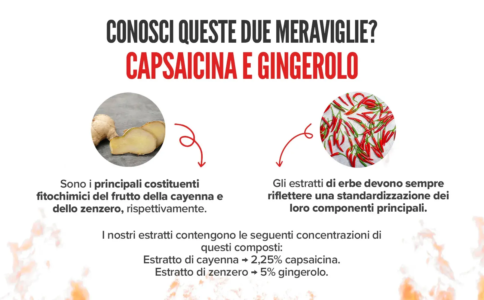 Fplus 5 Ultra Cayena