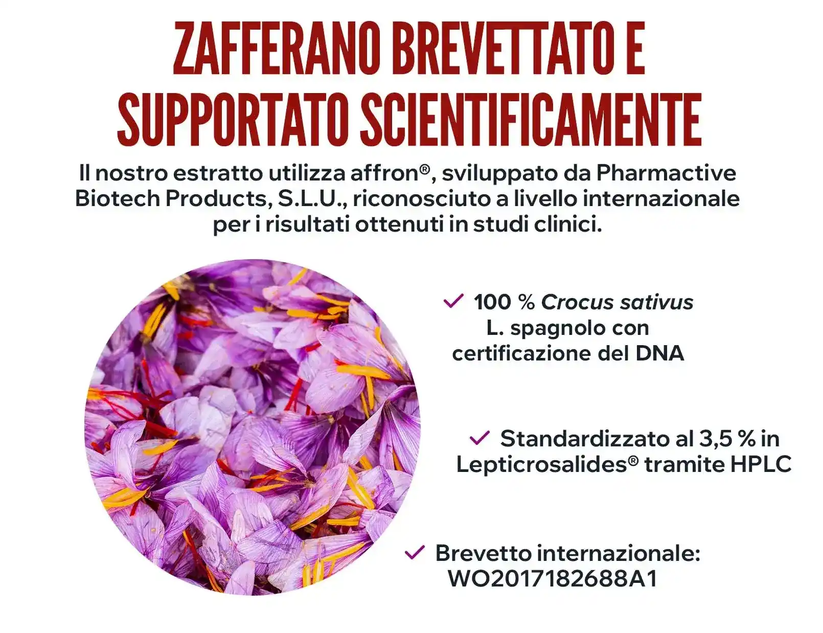 fplus 2 extracto de azafrán