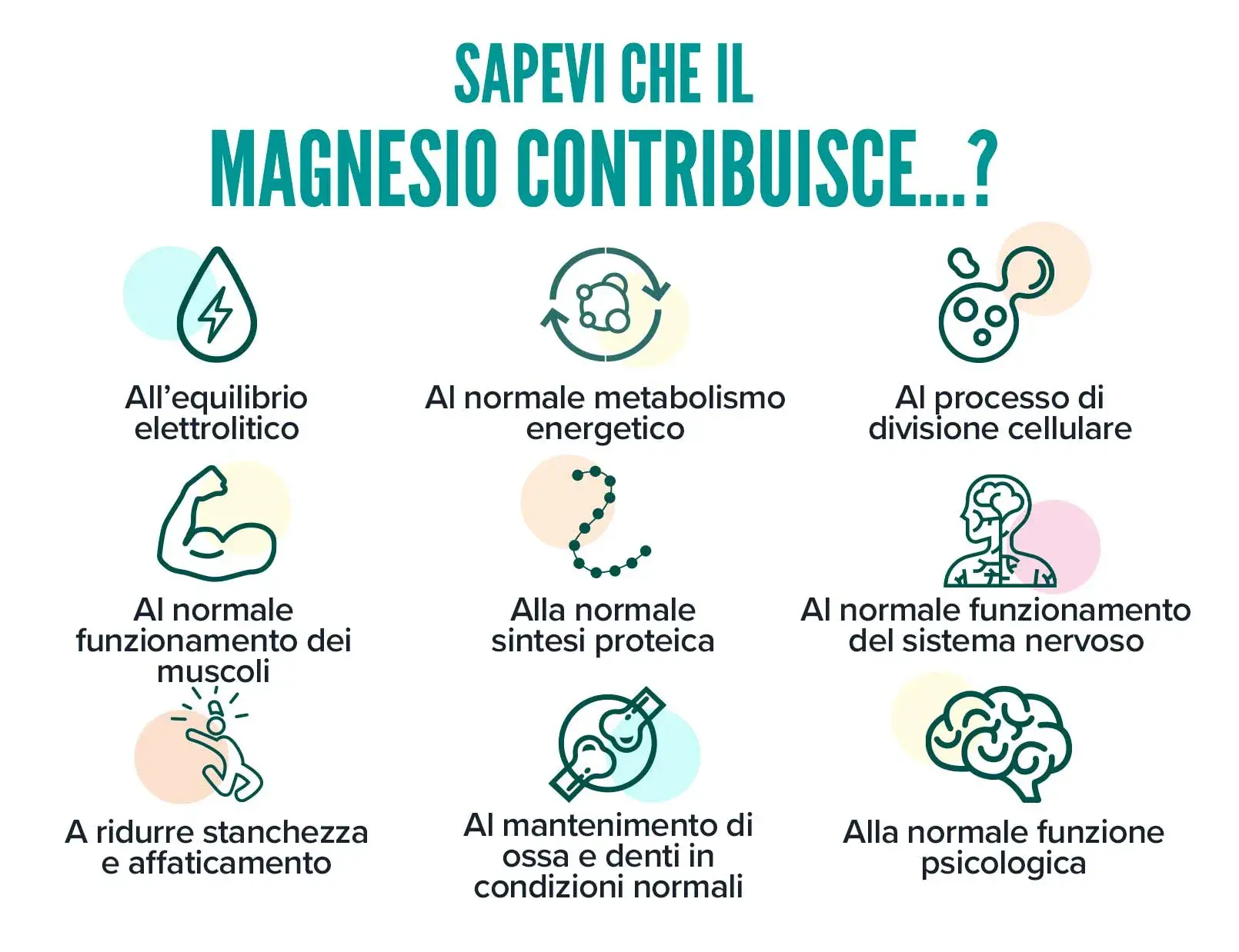 fplus 5 malato de magnesio