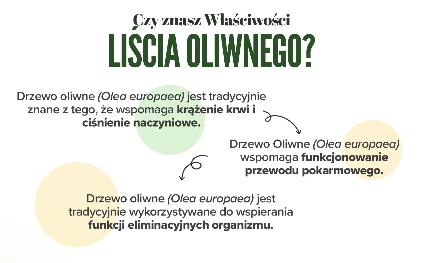 Fplus 3 Ekstrakt z Liścia Oliwnego