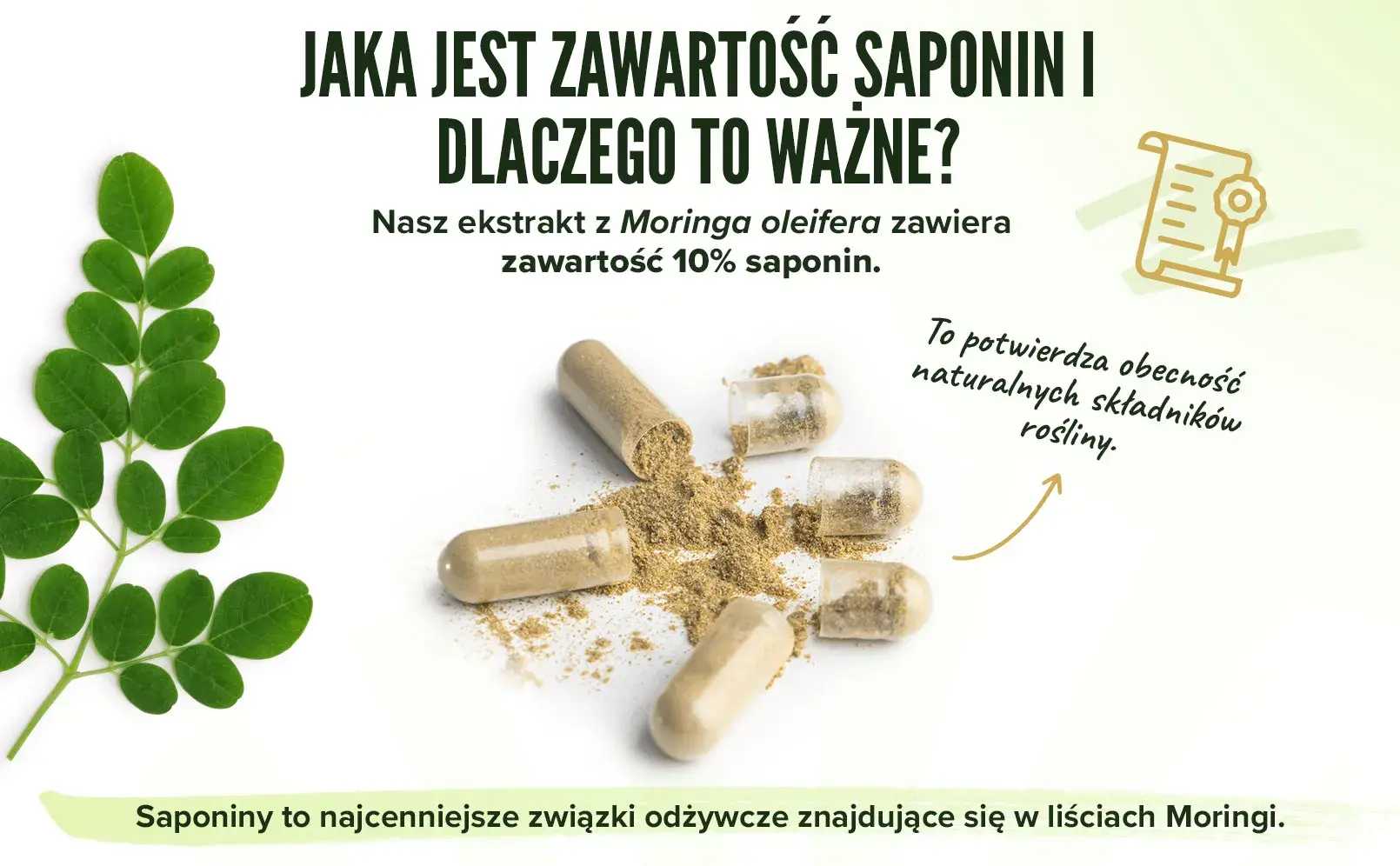 Fplus 5 Moringa