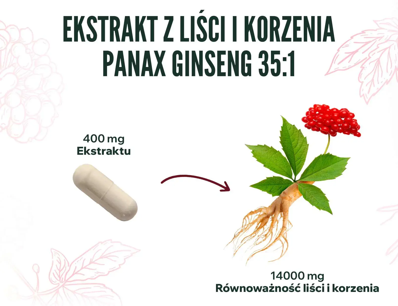 fplus 4 extracto de panax ginseng