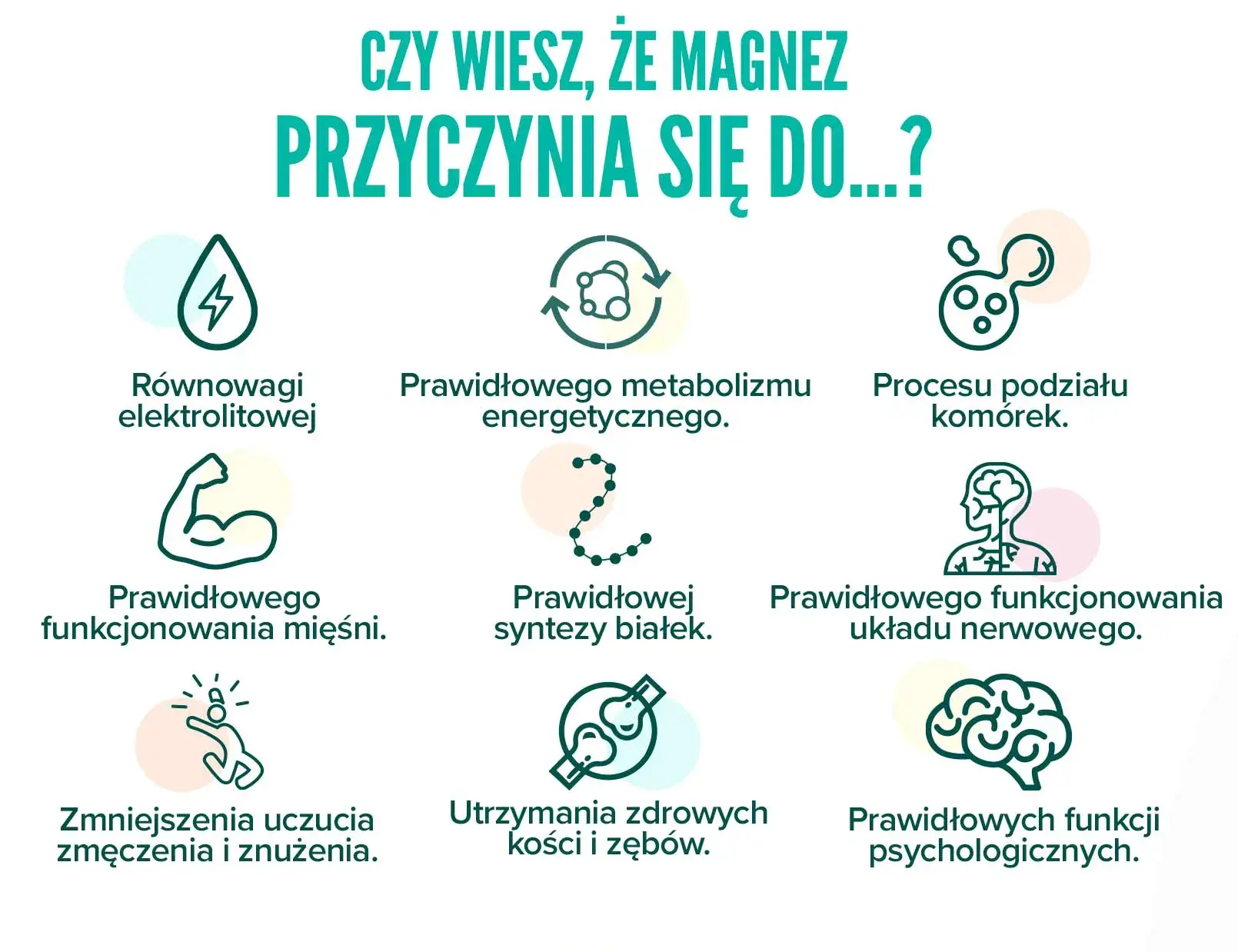 fplus 4 diglicynian magnezu w proszku