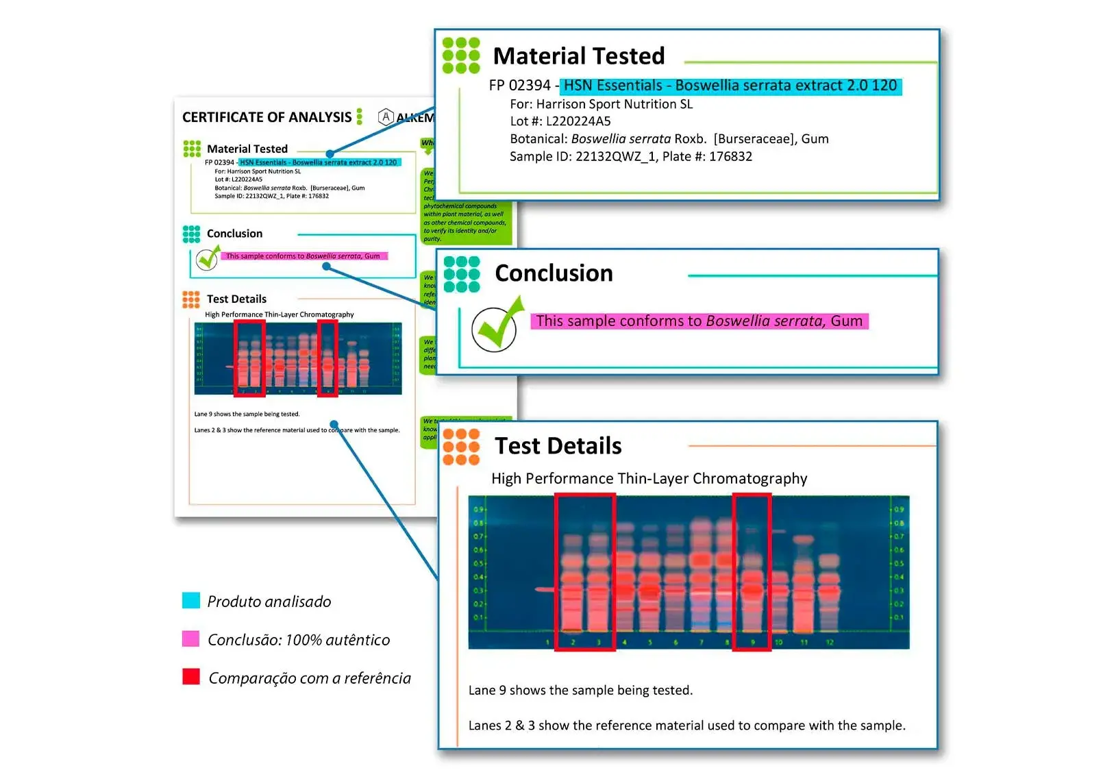 Info Desc 1 Boswellia