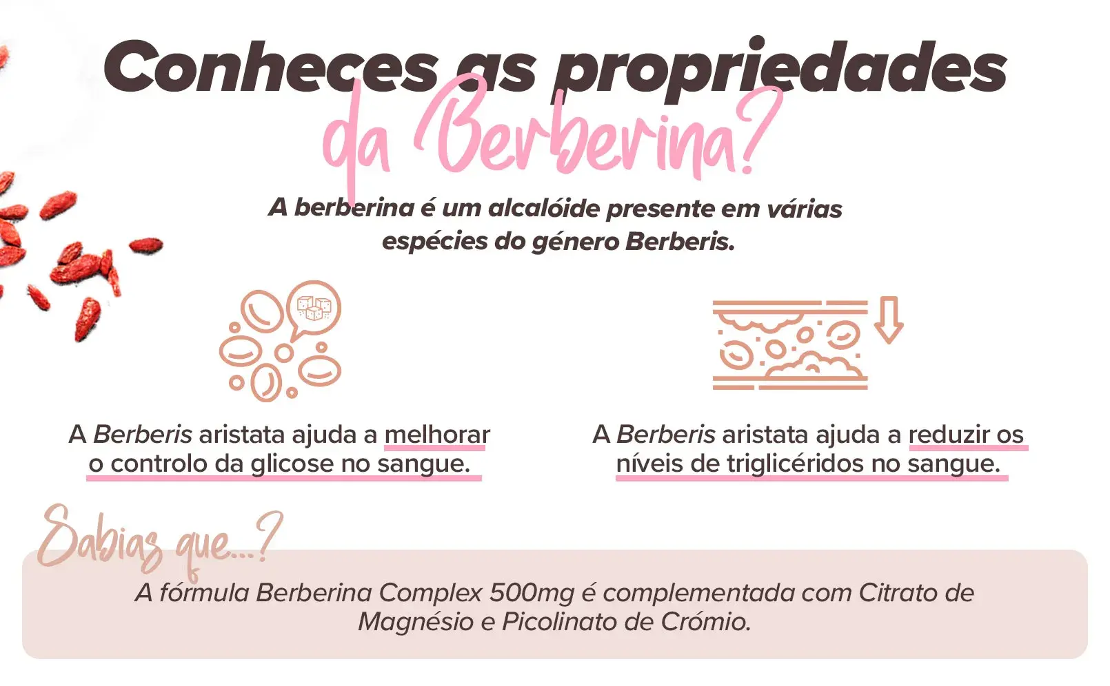 Fplus 2 Berberina