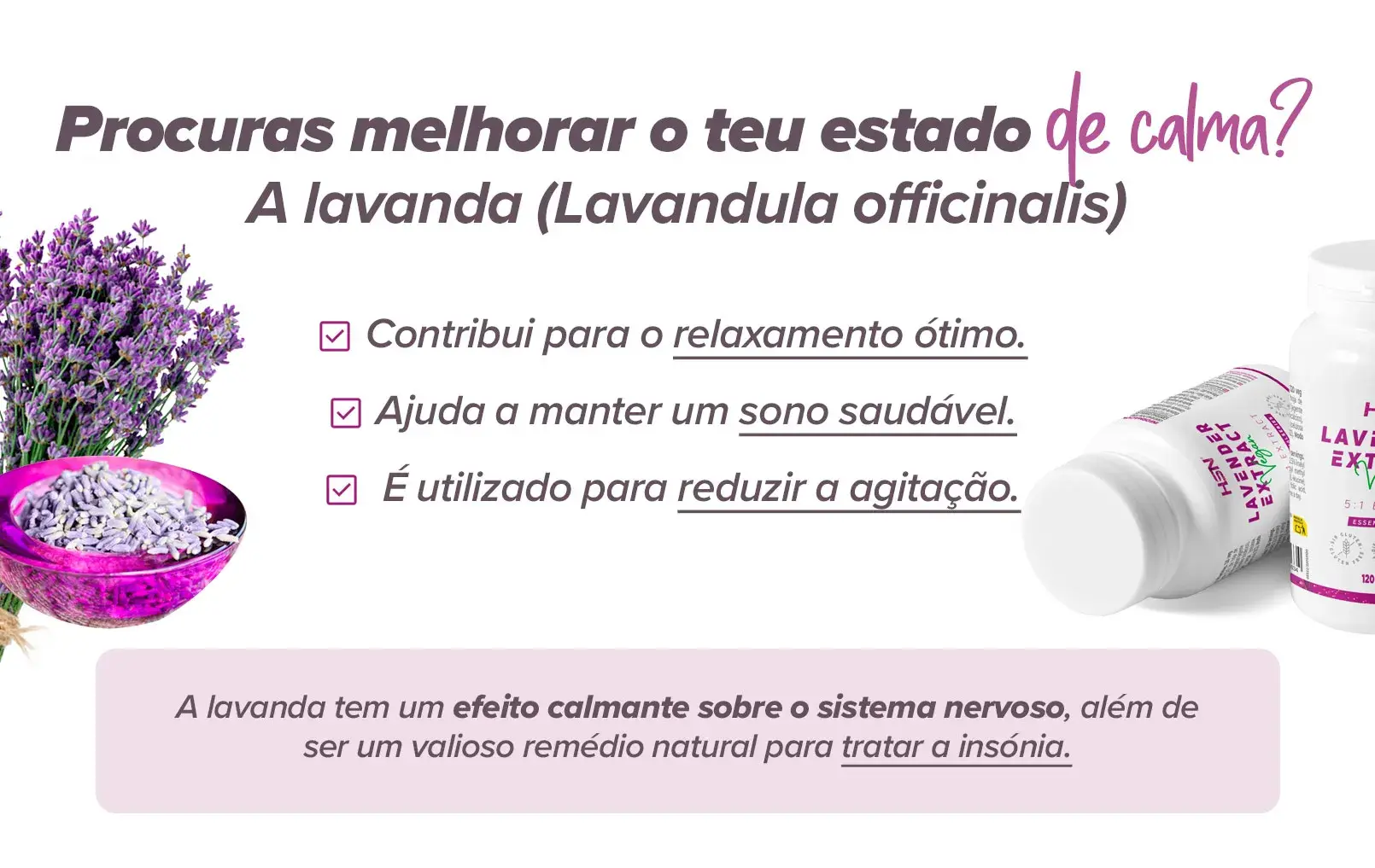 Fplus 2 Lavanda