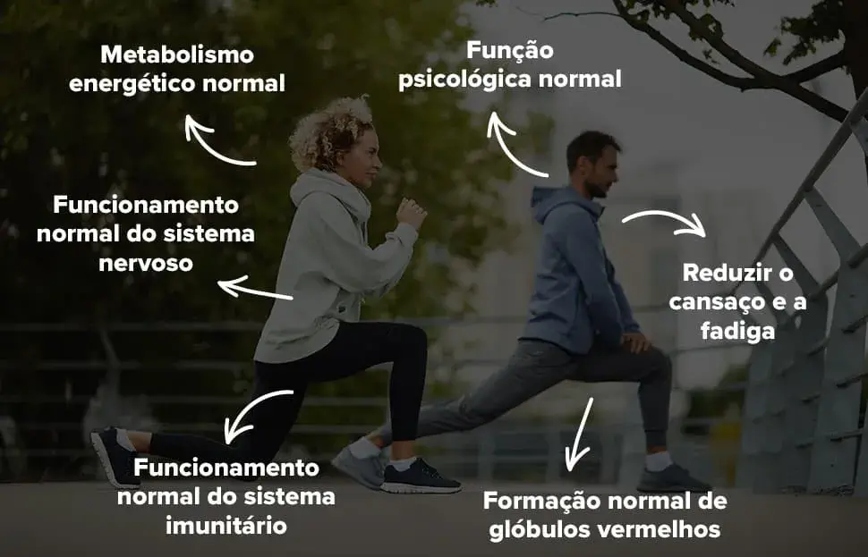 Info Vitamina B12 Líquida
