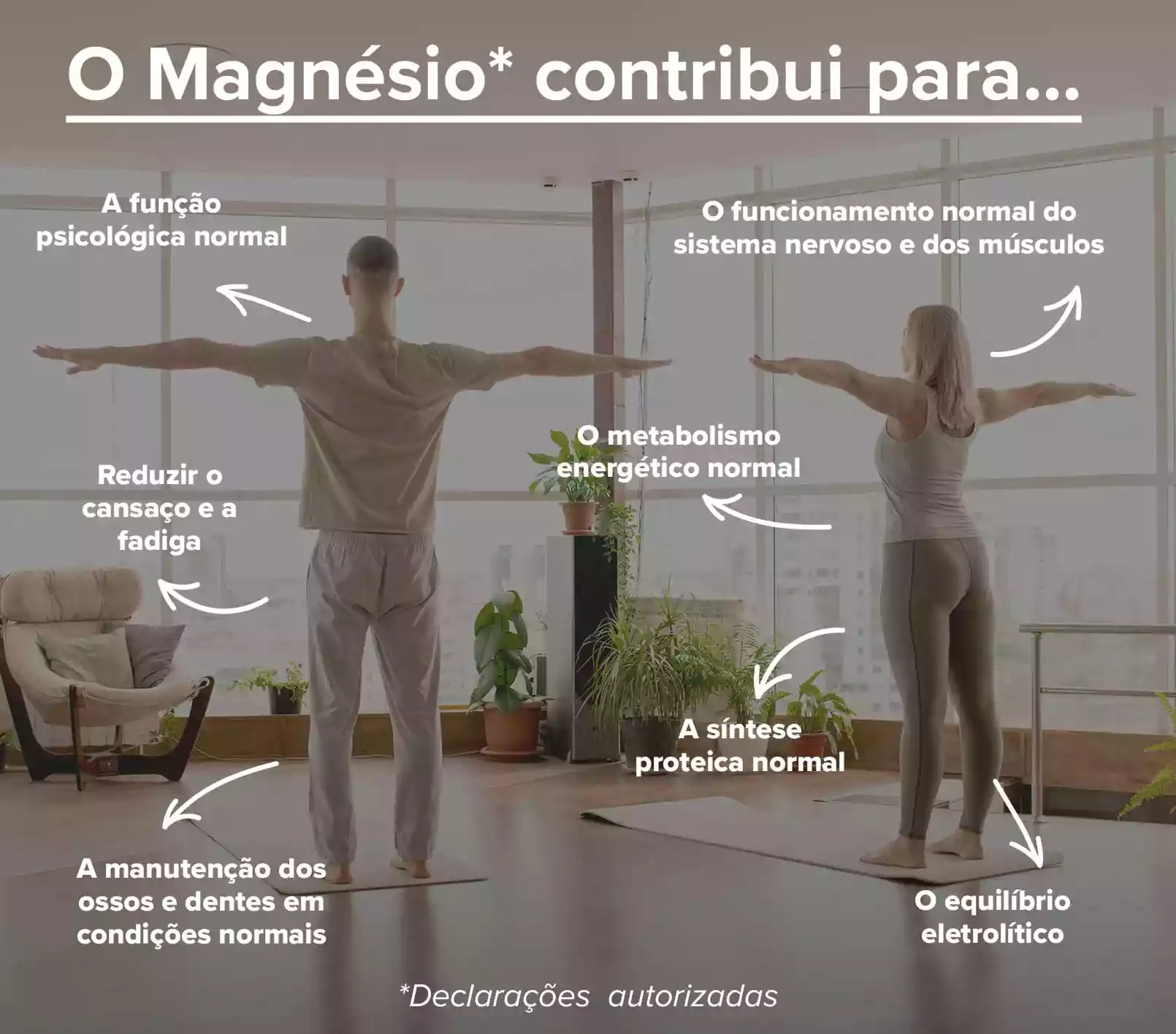 Info 3 Magnesio Albion