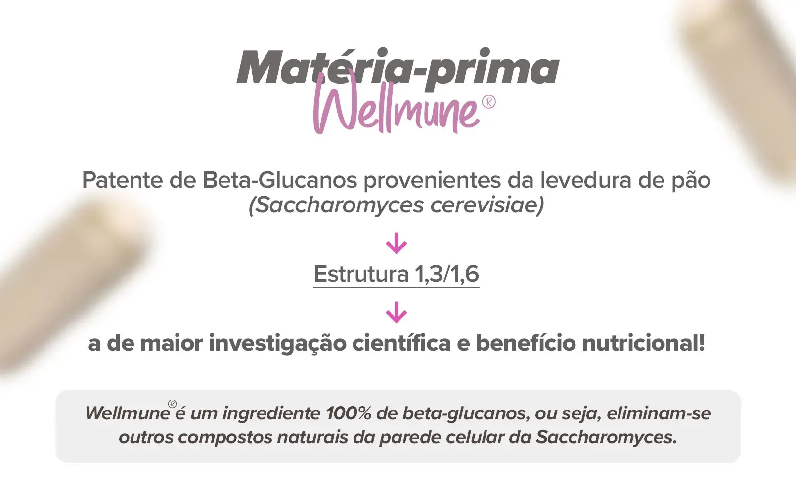 Fplus 3 Wellmune