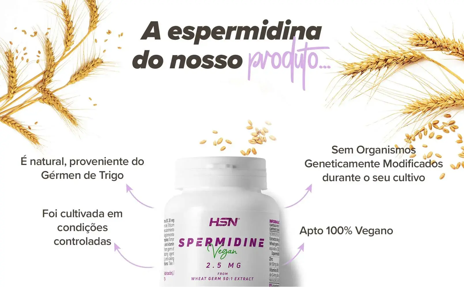 Fplus 3 Espermidina