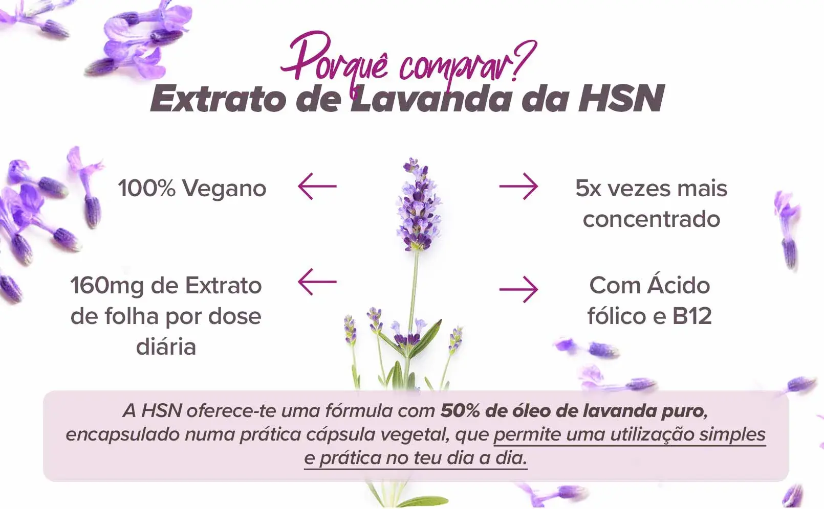 Fplus 4 Lavanda