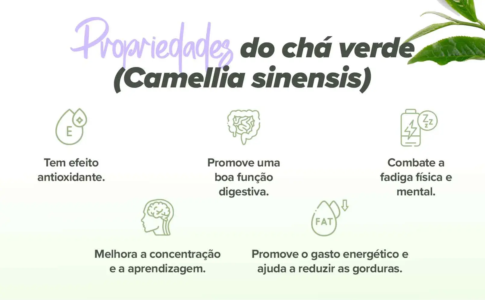 Fplus 4 Té verde