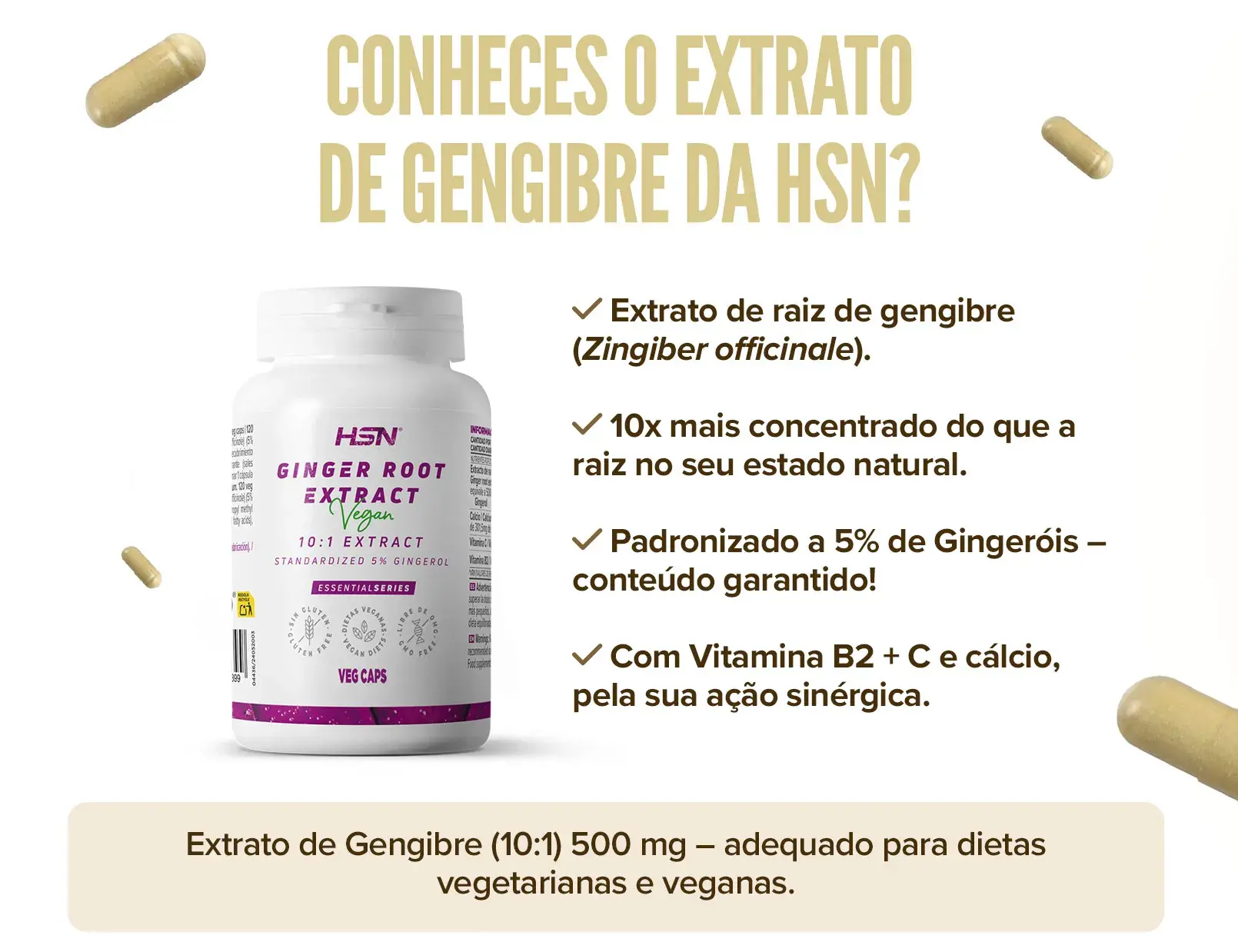Fplus 1 Extrato Gengibre