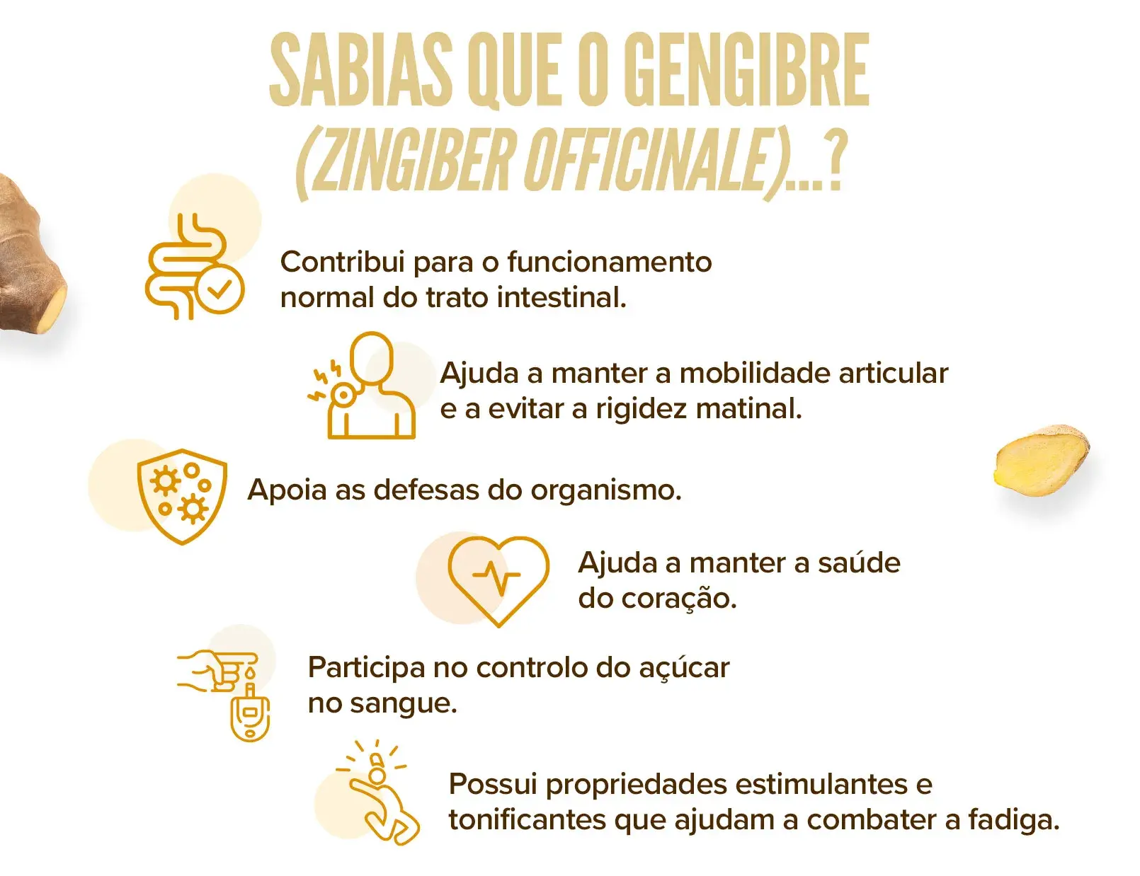 Fplus 2 Extrato Gengibre