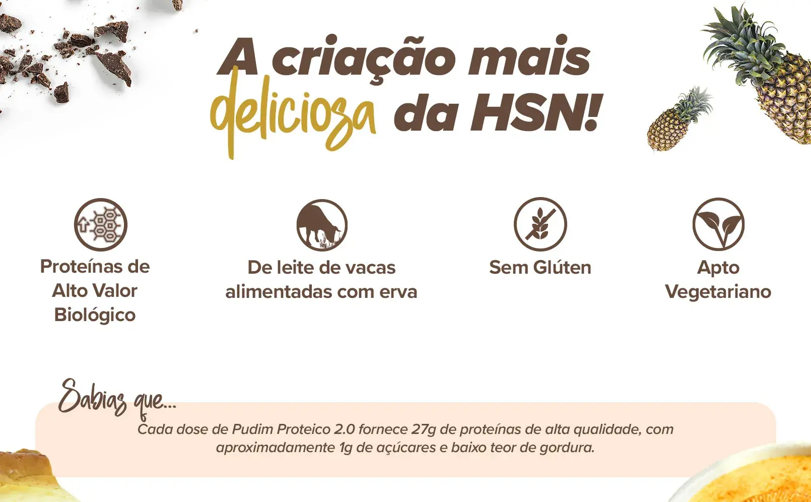 Fplus 2 Pudim Proteico