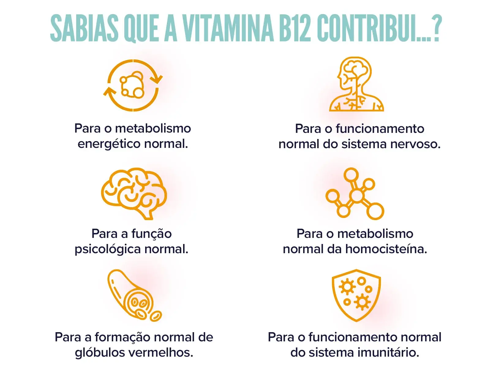 Fplus 2 Vitamina B12 cianocobalamina