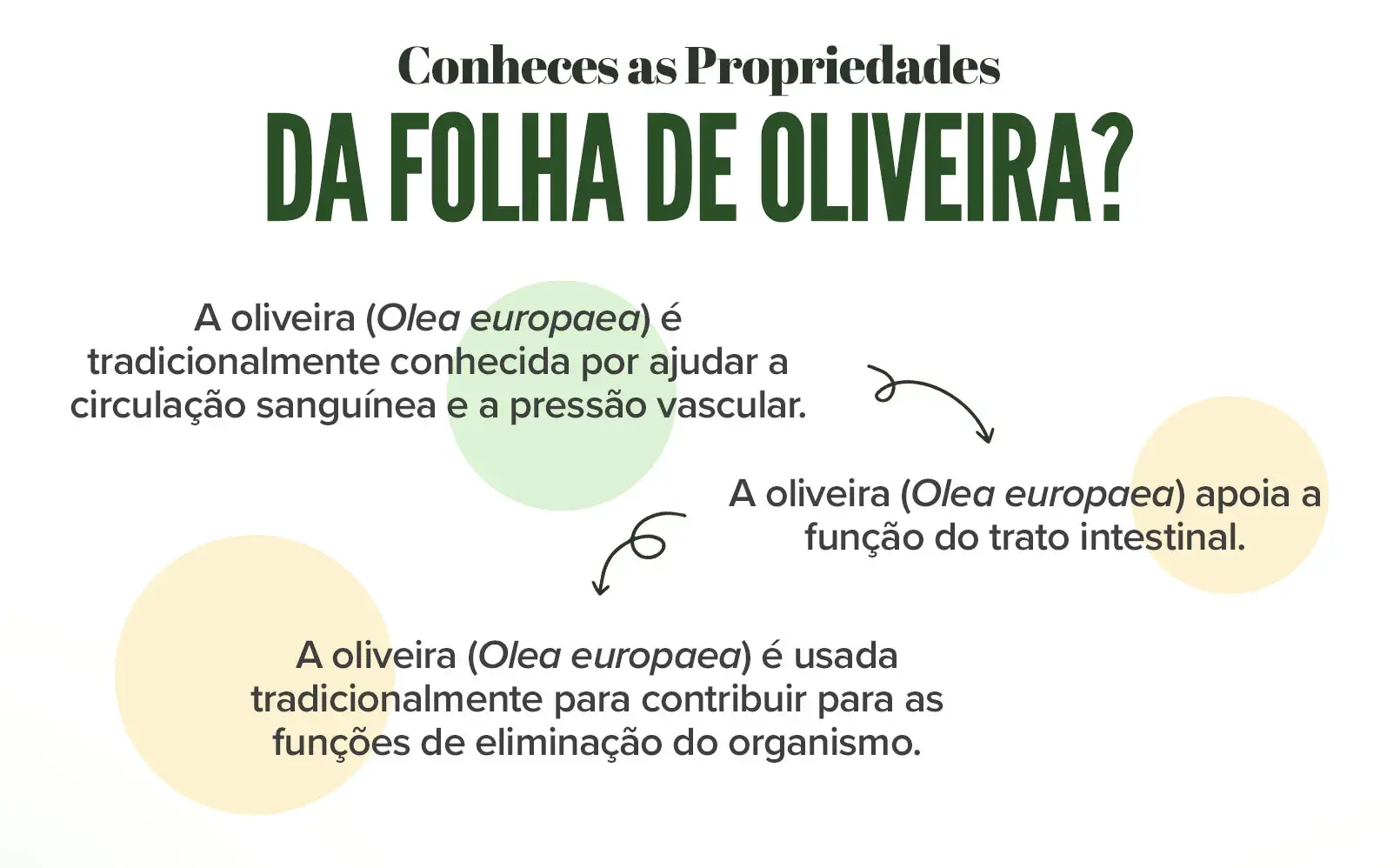 Fplus 3 Extrato de Foja de Oliveira