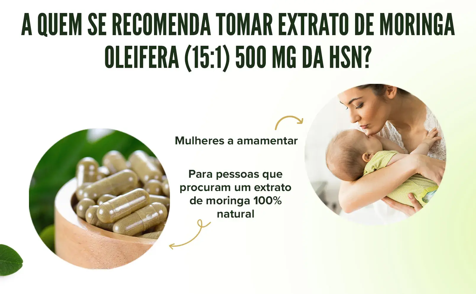 Fplus 4 Moringa