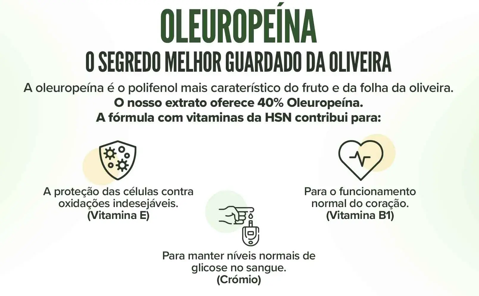 Fplus 4 Extrato de Foja de Oliveira