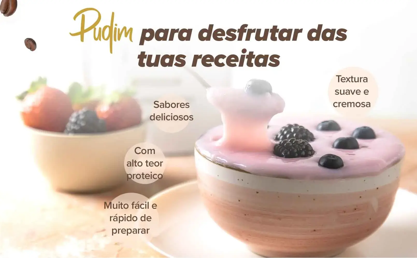 Fplus 4 Pudim Proteico