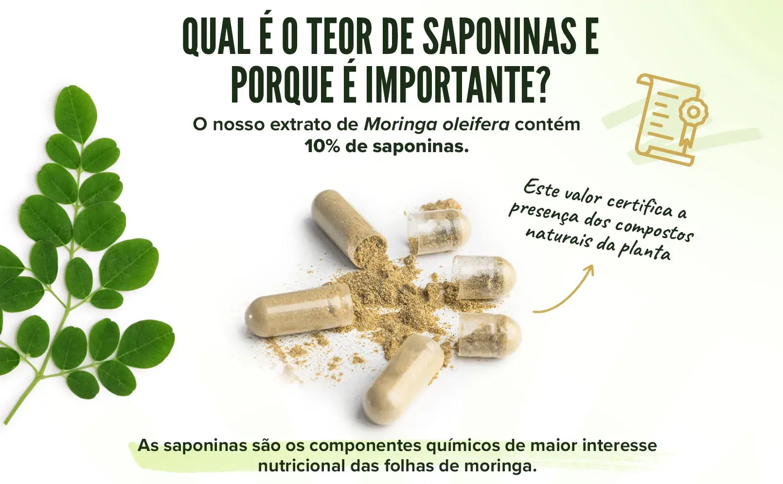 Fplus 5 Moringa