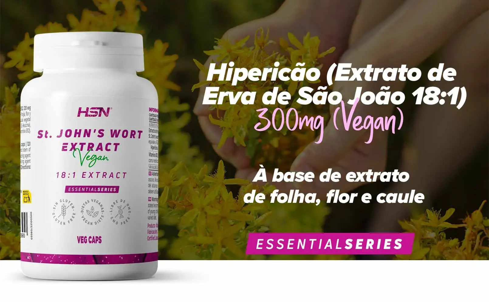 Fplus 1 Hiperico