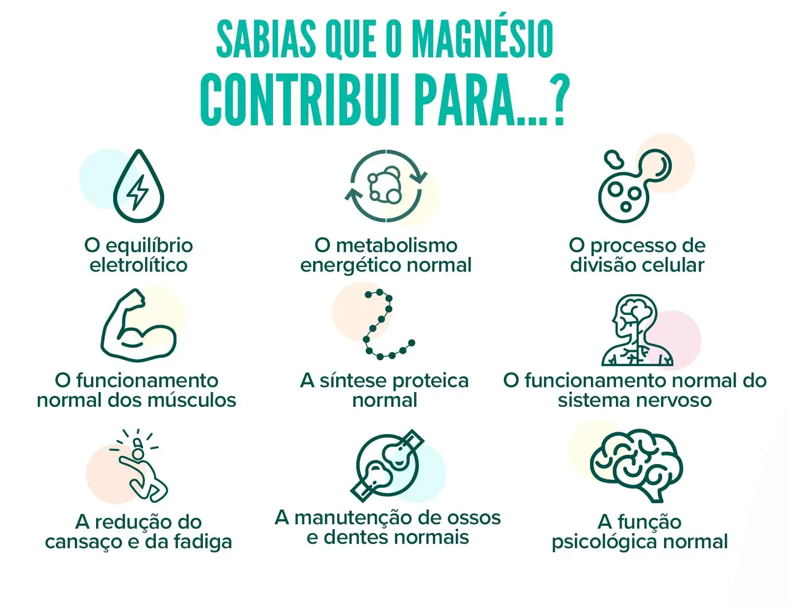 fplus 4 bisglicinato de magnesio e po