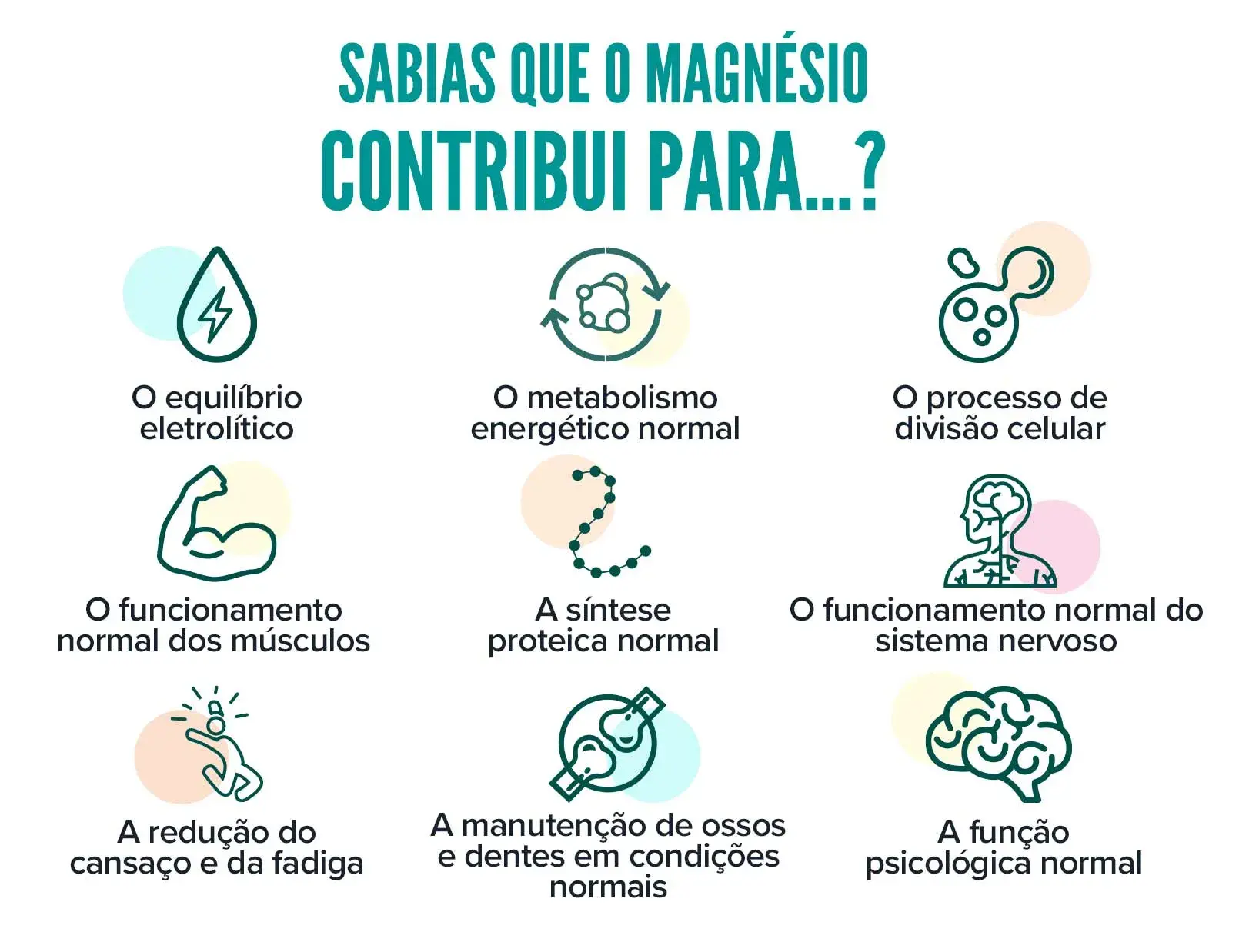 Fplus 5 malato de magnésio