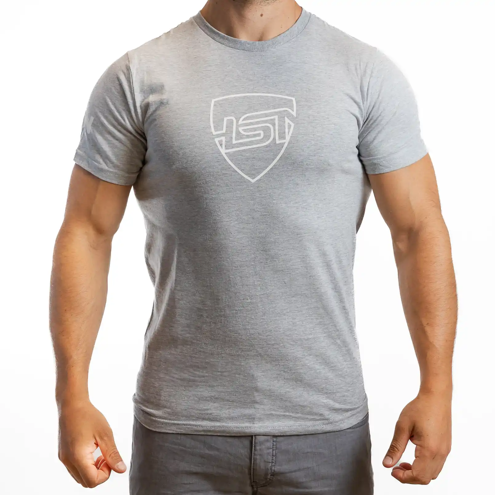 CAMISETA ALGODÓN HSN WE ARE NUTRITION GRIS - L