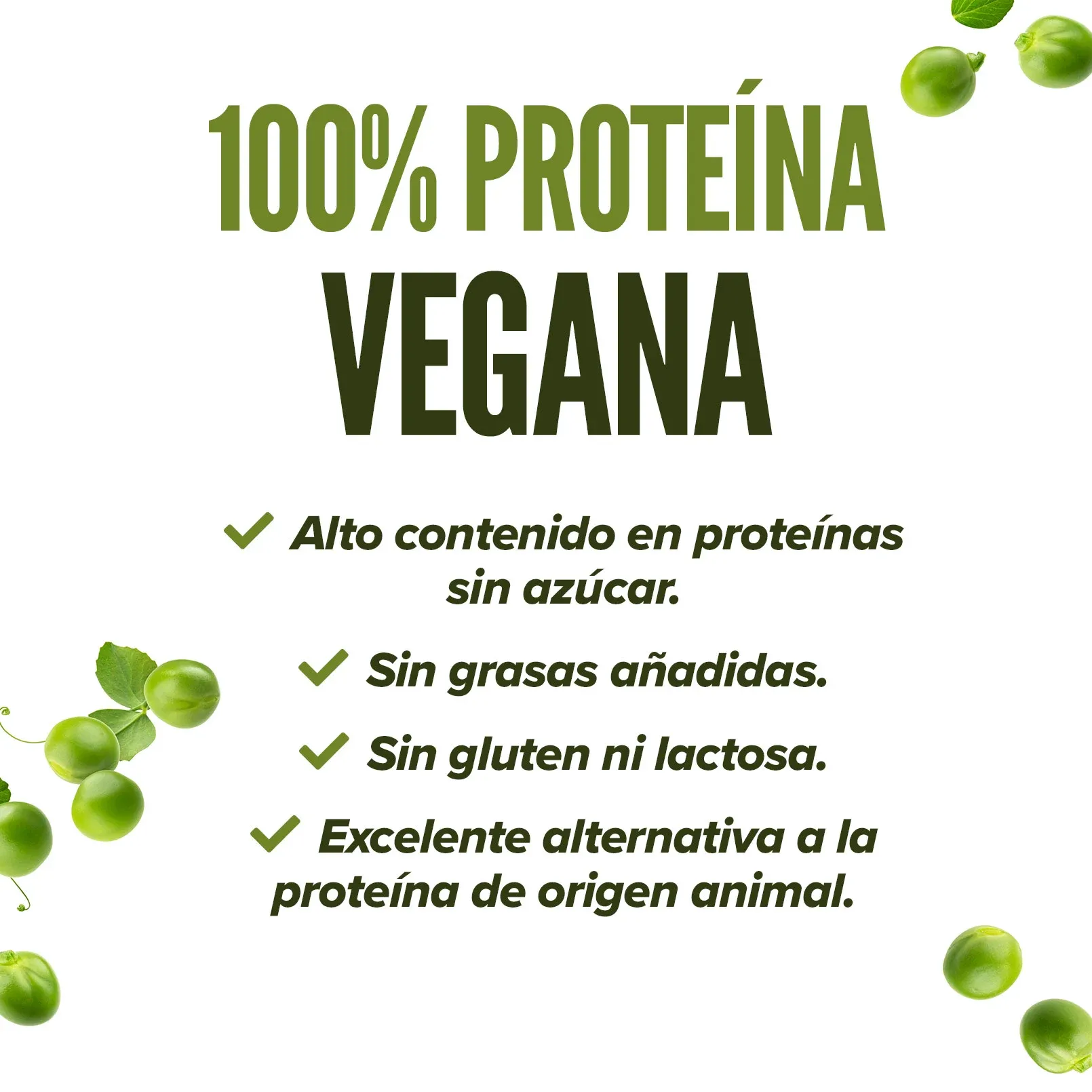 Proteína de guisante aislada 2.0 500g, foto 3