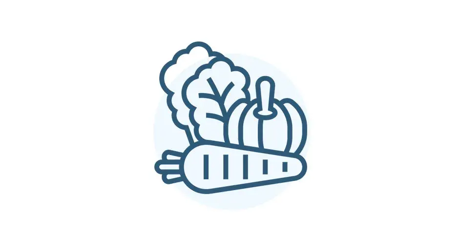 Prote&iacute;nas vegetales