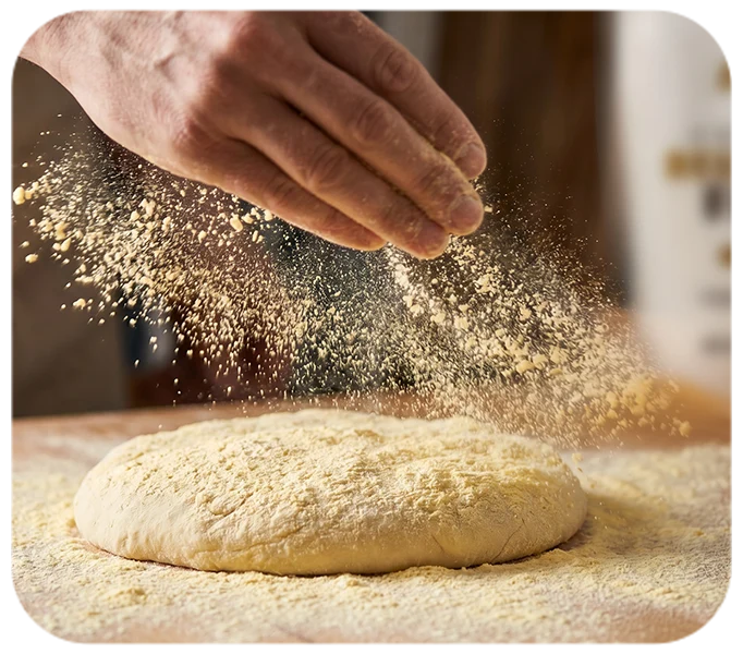 Preparados alimenticios con ingredientes 100% puros Preparados alimenticios con ingredientes 100% puros
