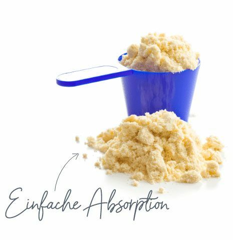 Wie Proteine vom Körper aufgenommen werden
