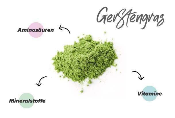 Nährstoffe in Gerstengras