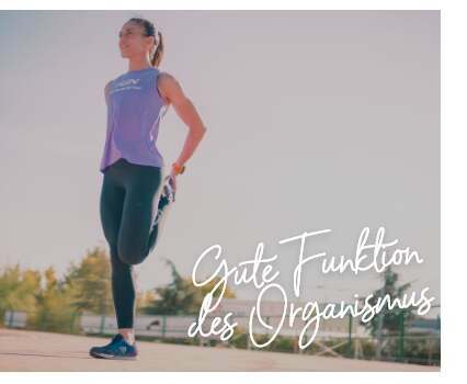 Gute Funktion des Organismus