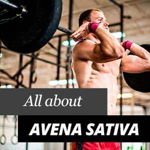 Avena Sativa - Vorteile und Eigenschaften