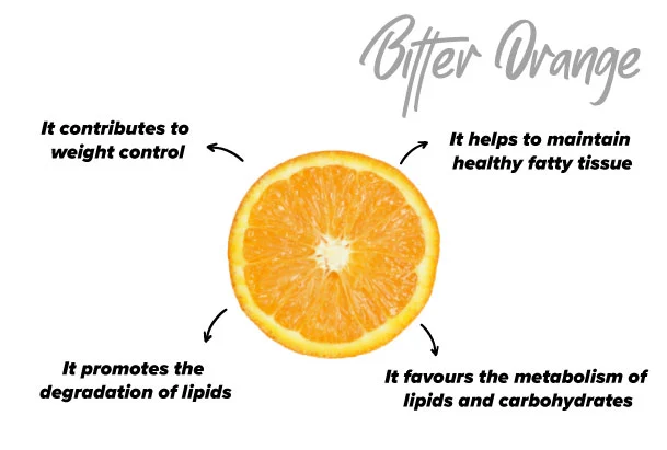 Bitter orange benefit our body
