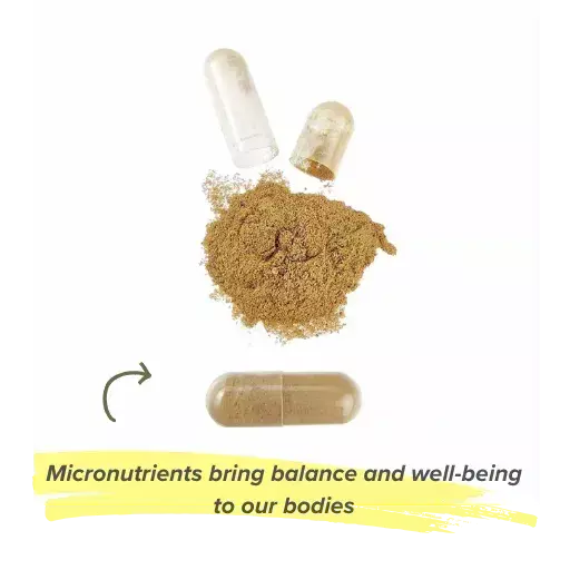 micronutrients provide to the body?